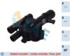 FAE 5307189 Thermostat, coolant